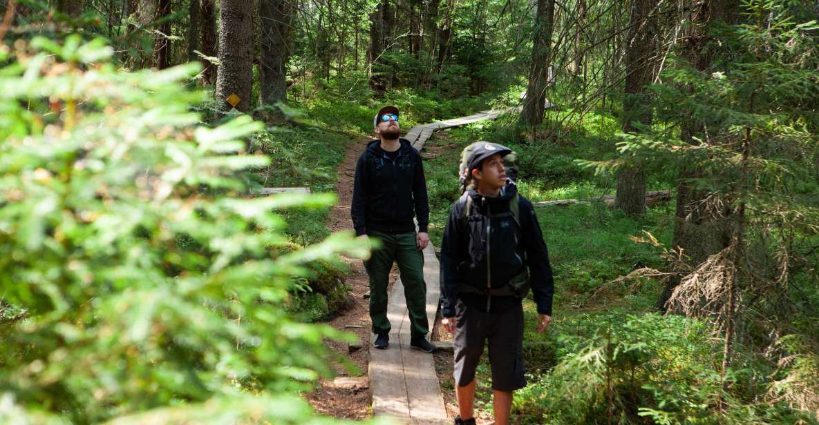 From Helsinki: Magical Taiga Hike in Liesjärvi National Park - Lunch and Refreshments