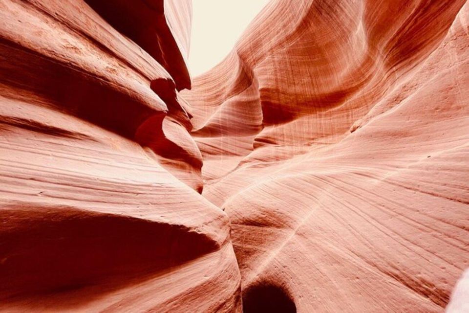 From Las Vegas: Lower Antelope Canyon & Horseshoe Bend Tour - Admire the Contrast of Colors