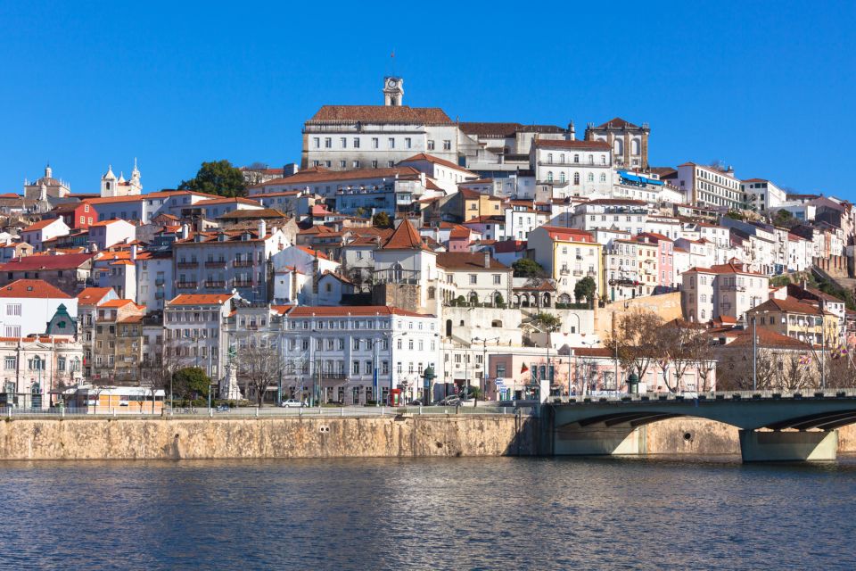 From Lisbon: Aveiro, Moliceiro Boat and Coimbra Tour - Old Cathedral and Riverside