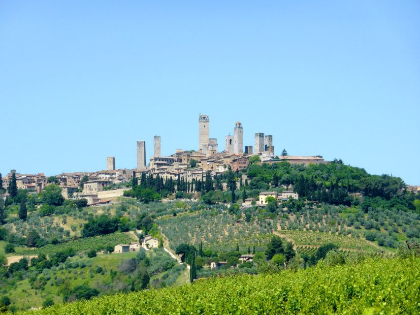 From Livorno: Siena and San Gimignano Guided Day Trip - Piazzas and Rich History