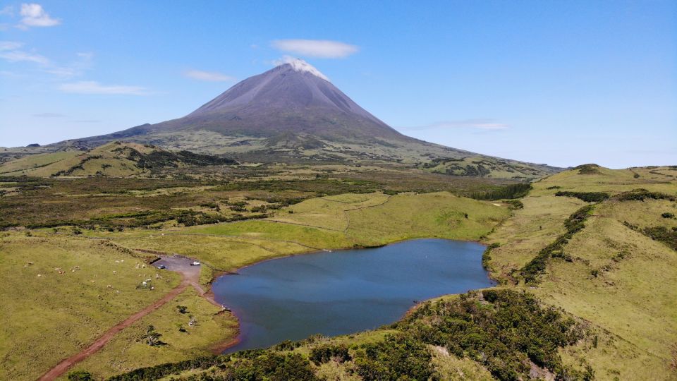 From Madalena: Pico Volcanoes and Lakes Guided Day Tour - Endemic Flora and Fauna