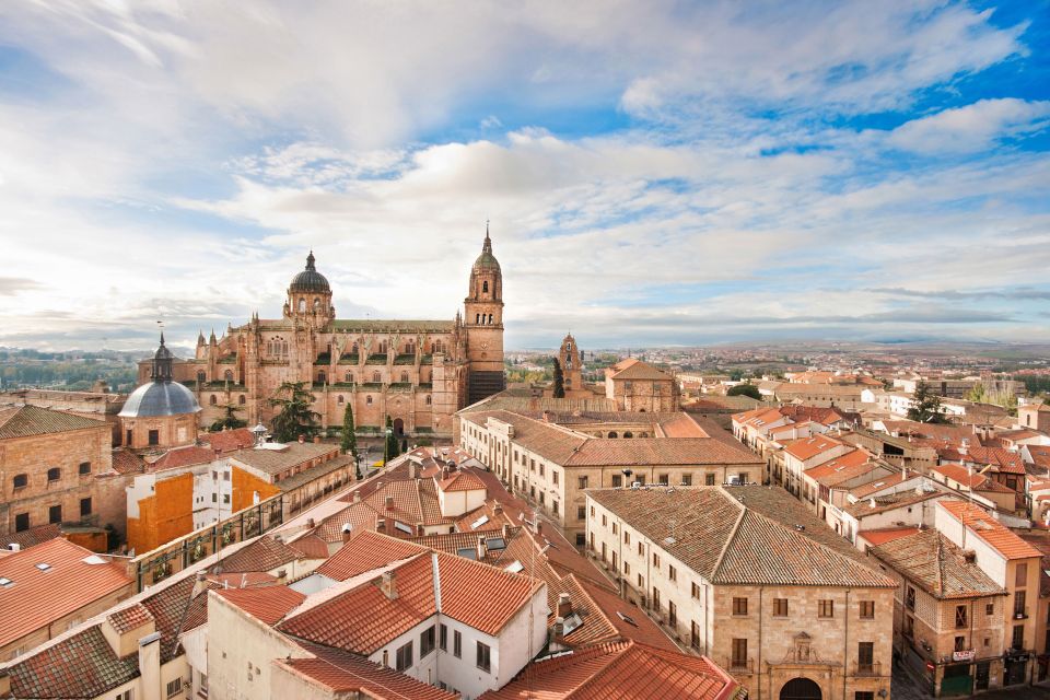 From Madrid: Day Trip to Ávila and Salamanca With Guided Tour - Tour the San Vicentes Shrine