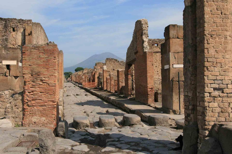 From Naples: Private Tour Vesuvius, Herculaneum and Pompeii - Cancellation Policy