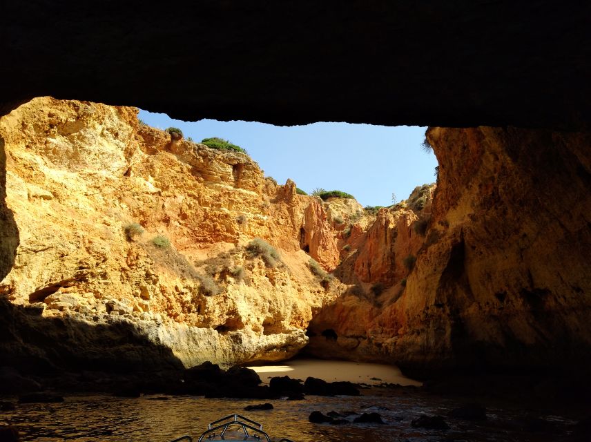 From Portimão: Benagil Caves and Beaches By Boat - Inclusions and Exclusions