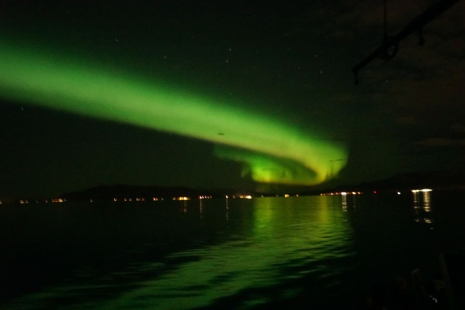 From Reykjavik: Northern Lights Boat Cruise - Highlights