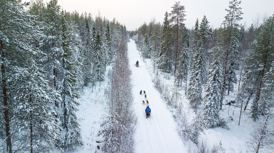 From Rovaniemi: Husky Safari and Salmon Ice Fishing - Convenient Booking and Cancellation