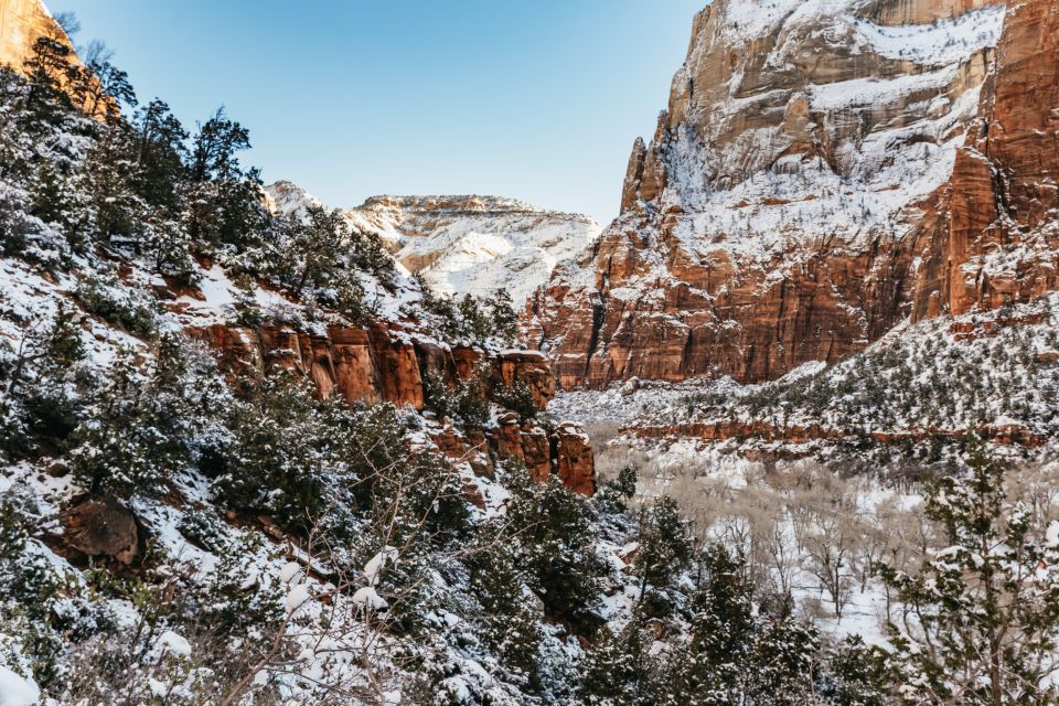 From Springdale: 4-hour Zion Canyon Scenic Hiking Tour - Taxes and Fees Included