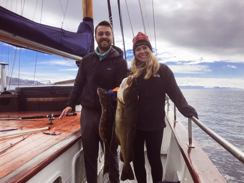 From Svolvær: Lofoten Islands Sea to Table Fishing Trip - Personalized Service and Experiences