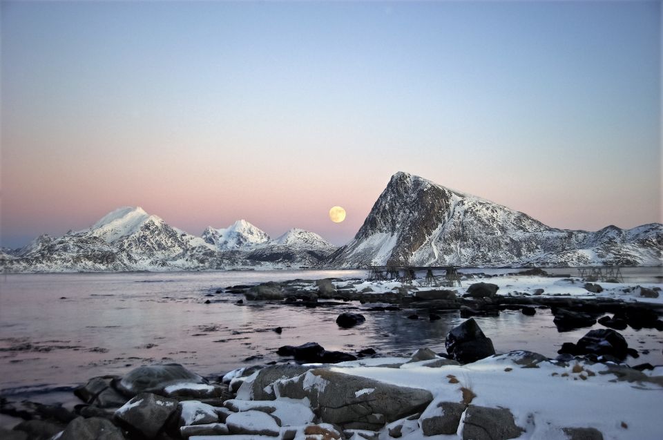 From Svolvaer: Lofoten Islands Tour With Photographer Guide - Lofoten Islands Nature