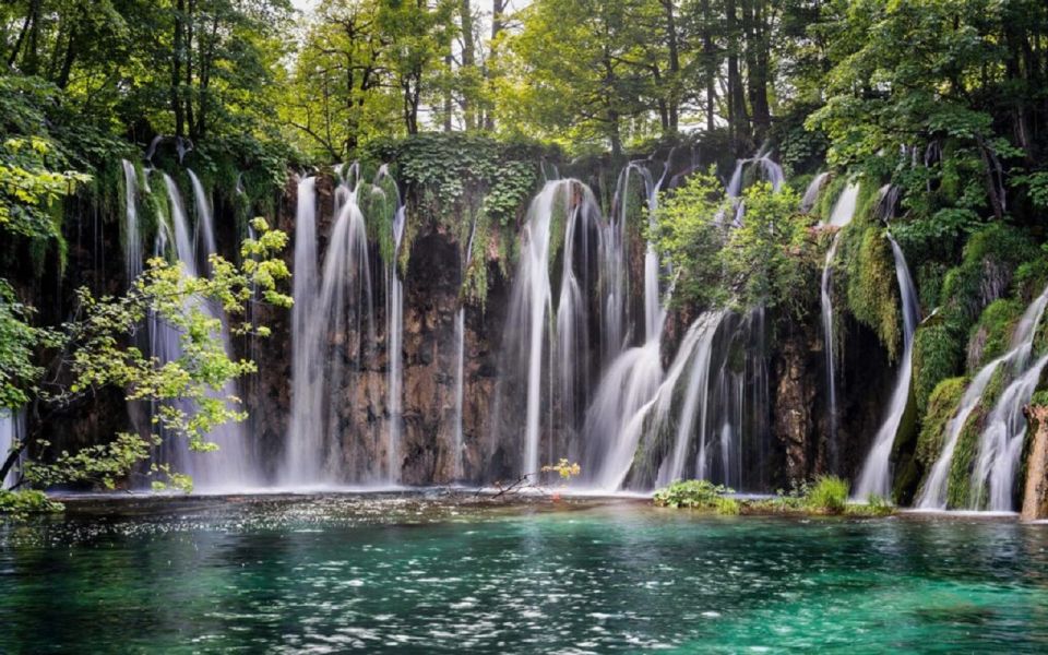 From Zadar: Plitvice Lakes Private Round-Trip Transfer - Customer Feedback and Ratings