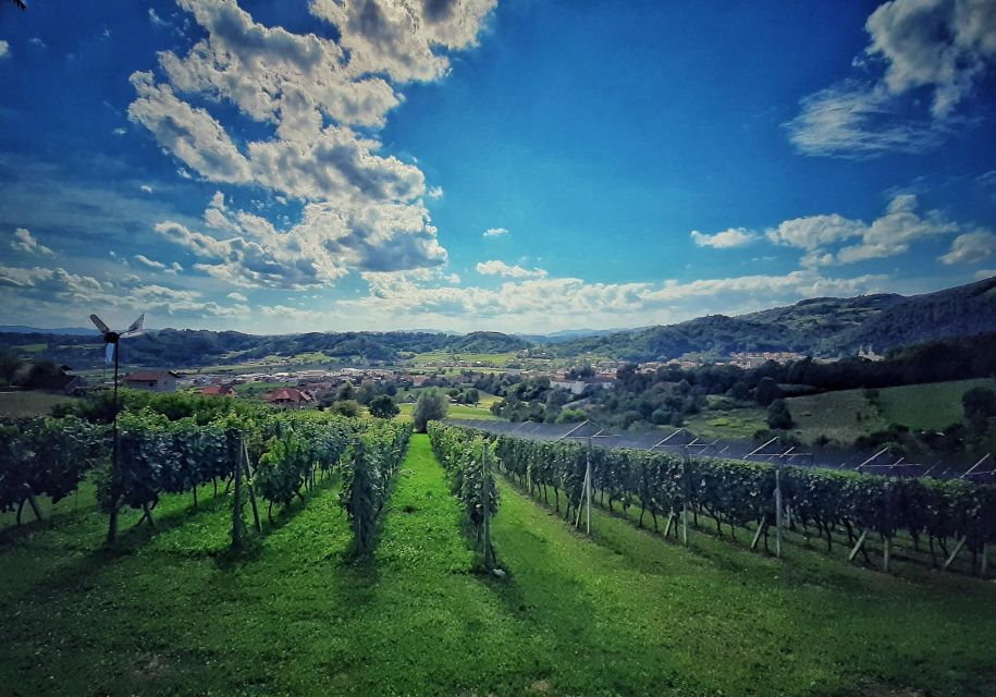 From Zagreb: Samobor & Plesivica Wine Road, Private - Frequently Asked Questions