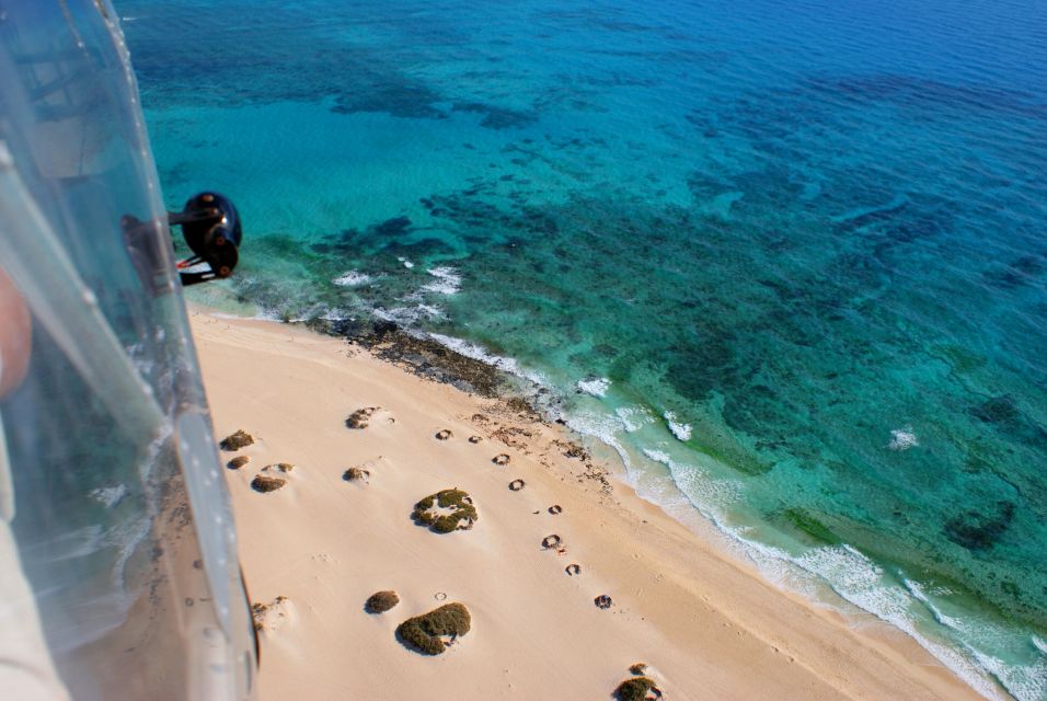 Fuerteventura: Exclusive Private Guided Tour of the North - Multilingual Expertise and Guidance