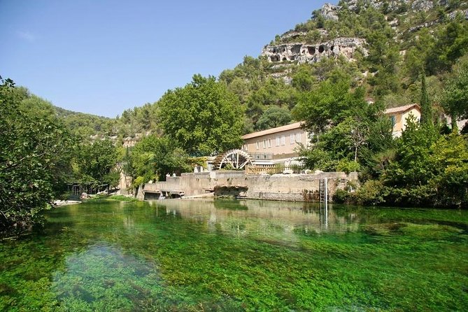 Full Day Best of Provence Tour From Avignon - Discover Senanque Abbey