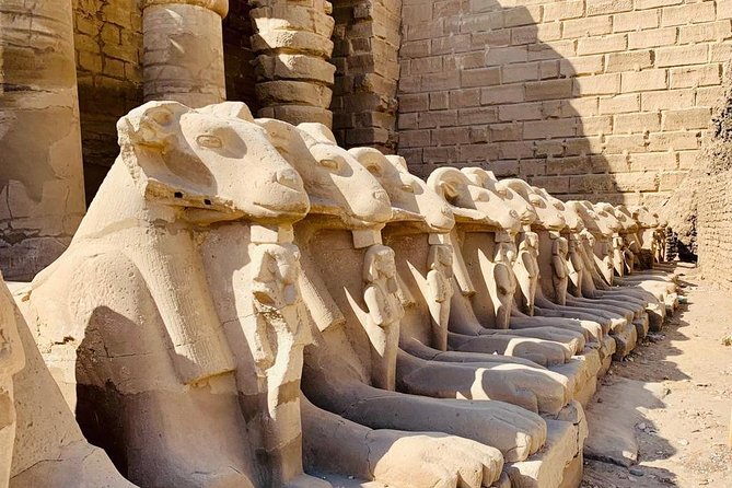 Full-Day East and West Luxor Private Tour - Private Transportation and Guide