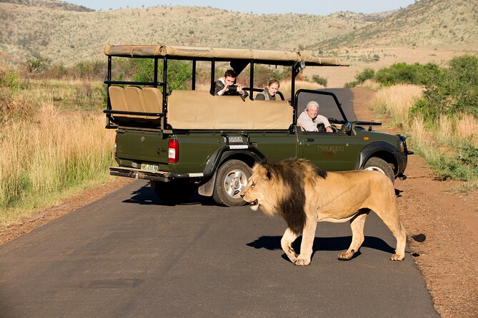 Full Day Pilanesberg Experience in Open Vehicle - Cancellation Policy