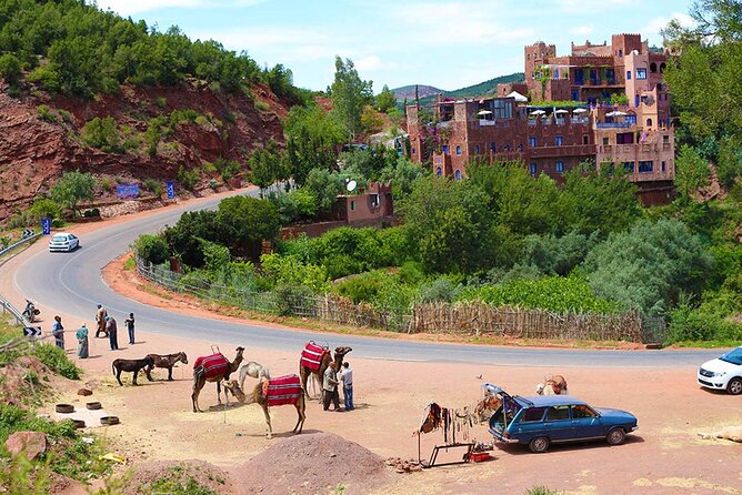 Full Day Private Berbere Experience in High Atlas - Vibrant Monday Souk