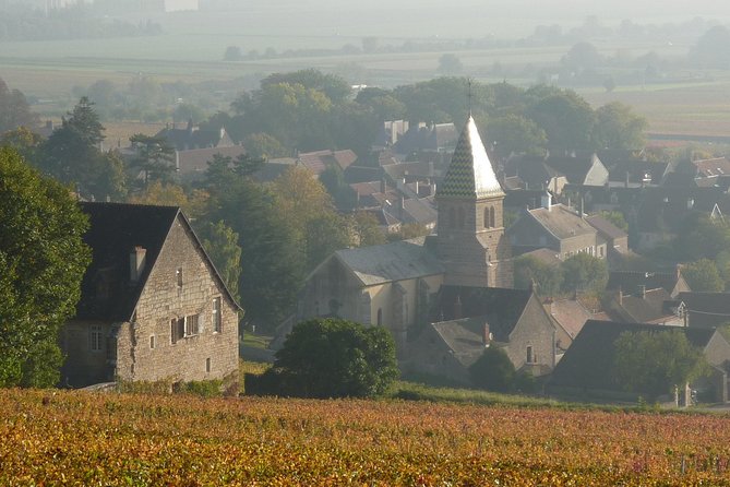 Full Day Private Tour 10 Premier & Grand Cru Vineyards, The Best of Burgundy - Burgundys Prestigious Wine Road