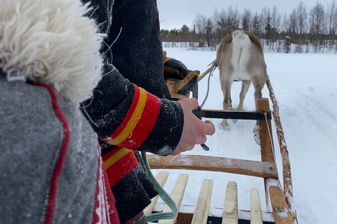 Full-Day Reindeer Tour With Pickup in Kiruna - Group Size