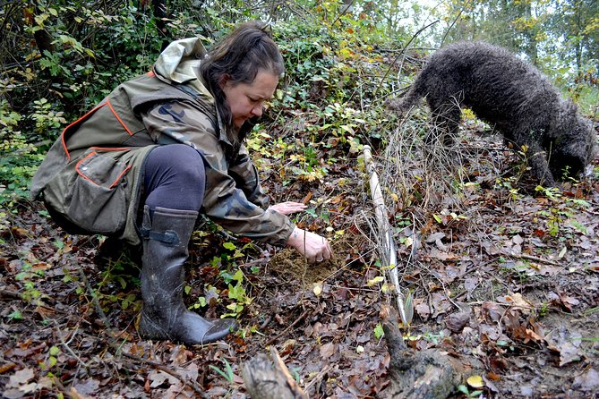 Full-Day Small-Group Truffle Hunting in Tuscany With Lunch - Transportation and Group Size