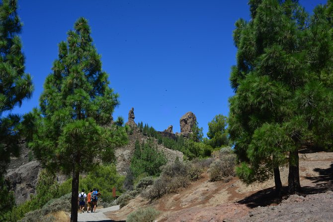 Full Day to Bandama Volcano, Center and High Peaks of Gran Canaria & Roque Nublo - Exploring Volcanic Landscapes