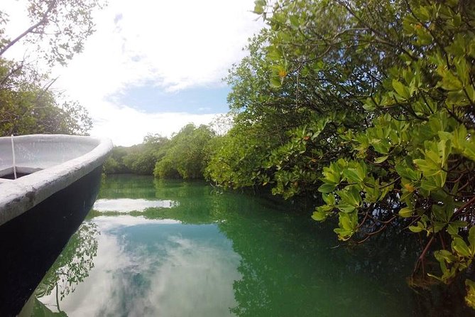 Full-Day Tour to Punta Rucia and Cayo Arena With Snorkeling - Snorkeling Opportunities