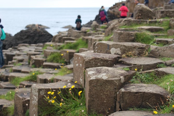 Game of Thrones and Giants Causeway Day Tour From Belfast - Tour Group Size and Policies