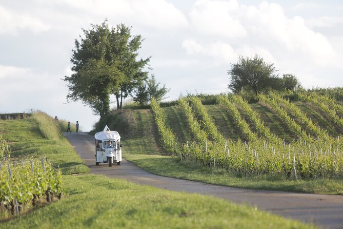 Geneva Panoramic & Tasting Vineyards Tour in an Electric Tuk Tuk - Savoring the Wine Tasting