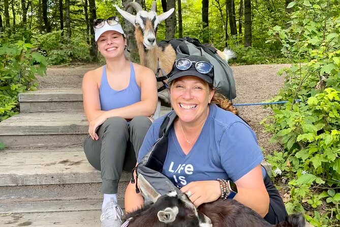 Goat Hiking, Beaver Dam Visit and Picnic in Quebec Forest - Visiting the Beaver Dam