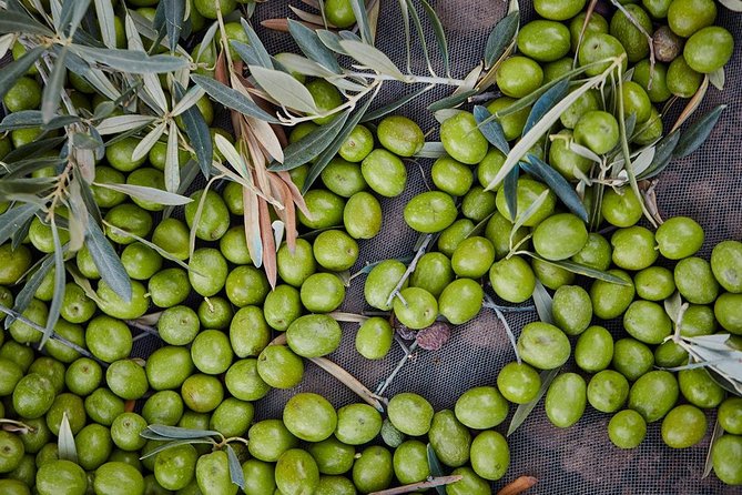 Gourmet Cooking Class & Culture in the Rural Montes De Malaga. - Confirmation and Accessibility