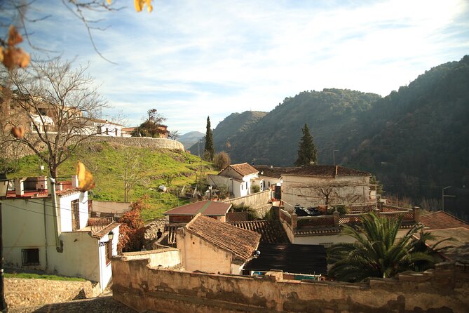 Granada Highlights Tour With Tapas Breaks by Electric Bike - Pricing and Cancellation Policy