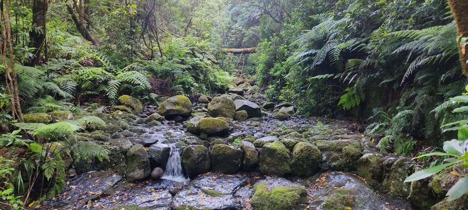 Green Cauldron Levada: Roundtrip Transfer & Hike - Scenic Views and Landscapes