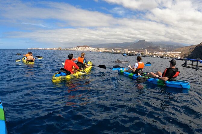 Guided Kayak Tour From Los Cristianos Beach Tenerife - Pricing and Booking