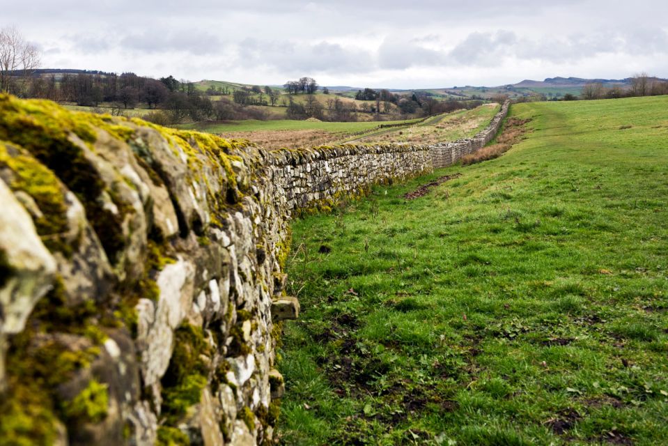 Hadrians Wall: Birdoswald Roman Fort Entry Ticket - Seasonal Operating Hours