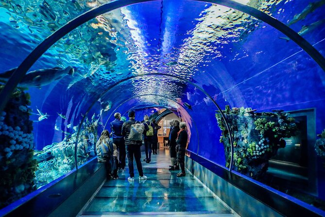 Half Day Antalya Aquarium Tour And Wax Museum - Traveler Reviews