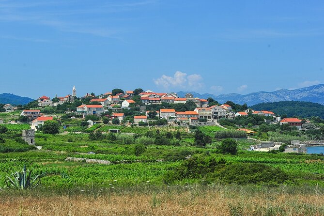 Half-Day Bike Tour in Lumbarda With Wine Tasting - Important Information for Travelers