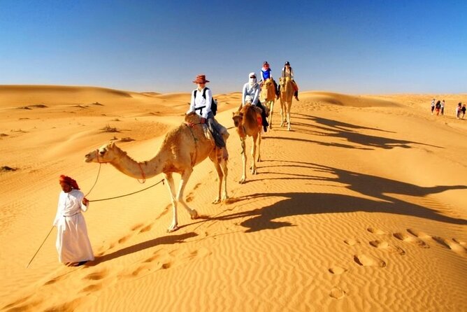 Half Day Desert Safari With Pickup From Doha Port/Airport /Hotels - Booking and Cancellation