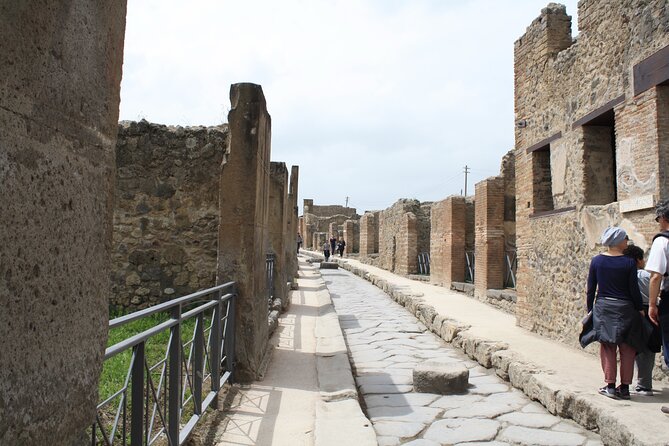 Half-Day Exclusive Private Tour of Pompeii and Herculaneum - Professional Guidance