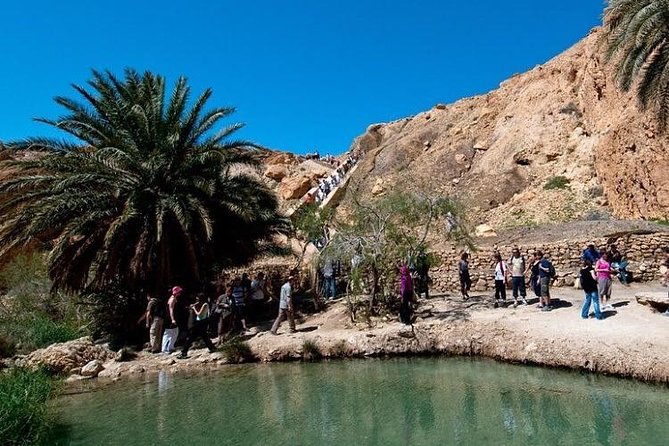 Half-Day Excursion to the Mountain Oases From Tozeur - Inclusions and Accessibility