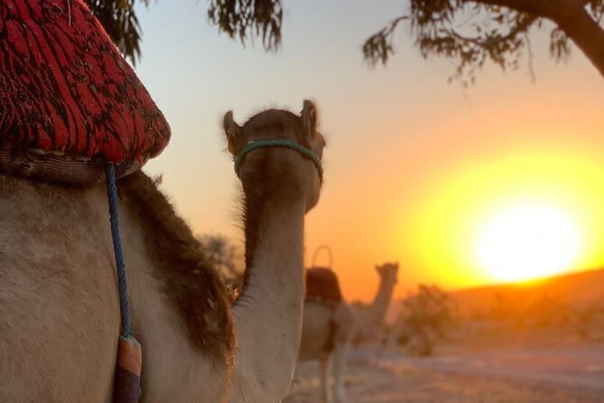 Half Day of Quad and Camel Ride With Moroccan Tagine at Lunch - Confirmation and Reservation Process