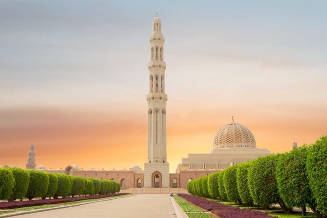 Half Day Private Muscat City Afternoon Tour - Highlights