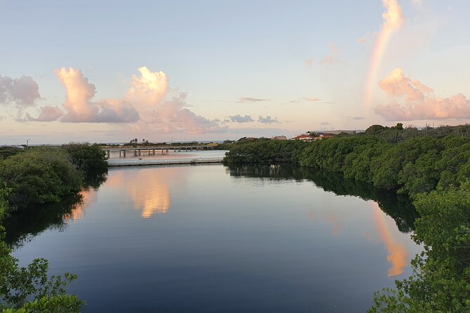 Half-Day Spanish Lagoon Mangrove Trail With Private Guide - Meeting and End Points