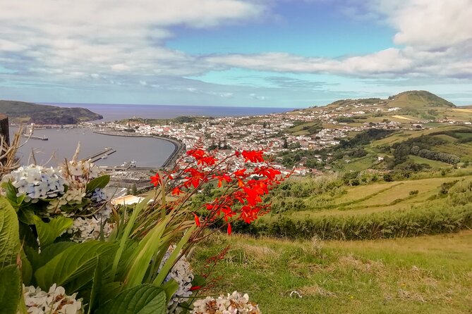 Half Day Tour - Faial Island - Highlights of the Tour