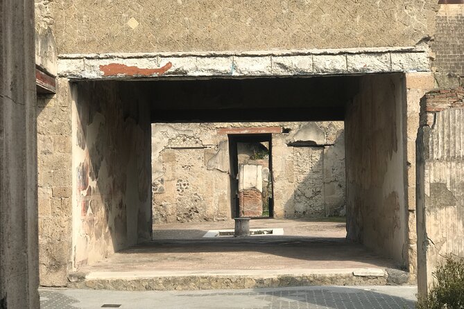 Herculaneum Private Tour With an Archaeologist - Discovering Herculaneum