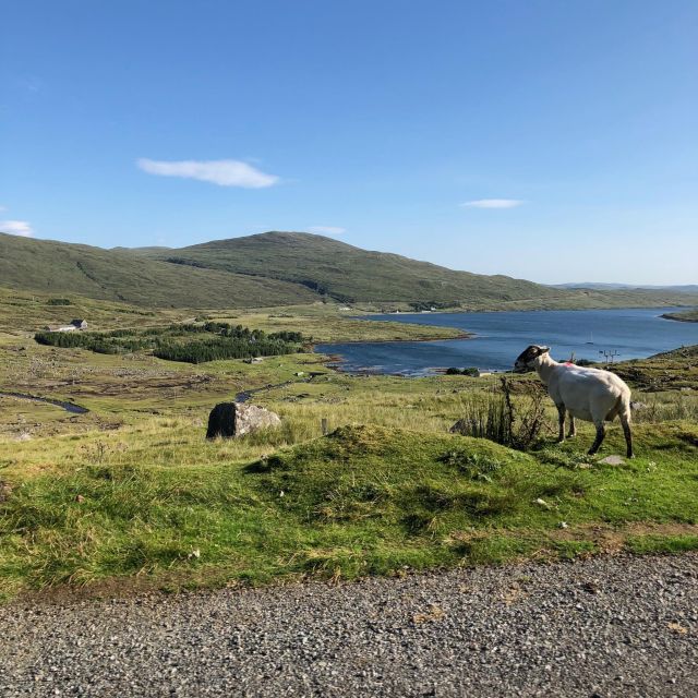 Highland Hidden Gems: Quaint Villages & Highland Cows - Loch Lubnaig and Glen Ogle