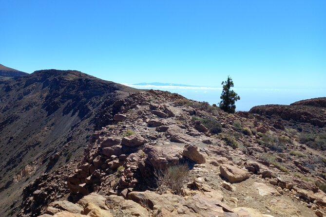 Hiking in Tenerifes Great Outdoors - Group Size Maximums