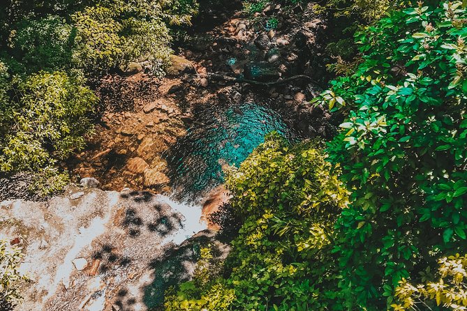 Hiking in the Black River Gorges National Parc - Native Forest - Refreshing Dip in Black River