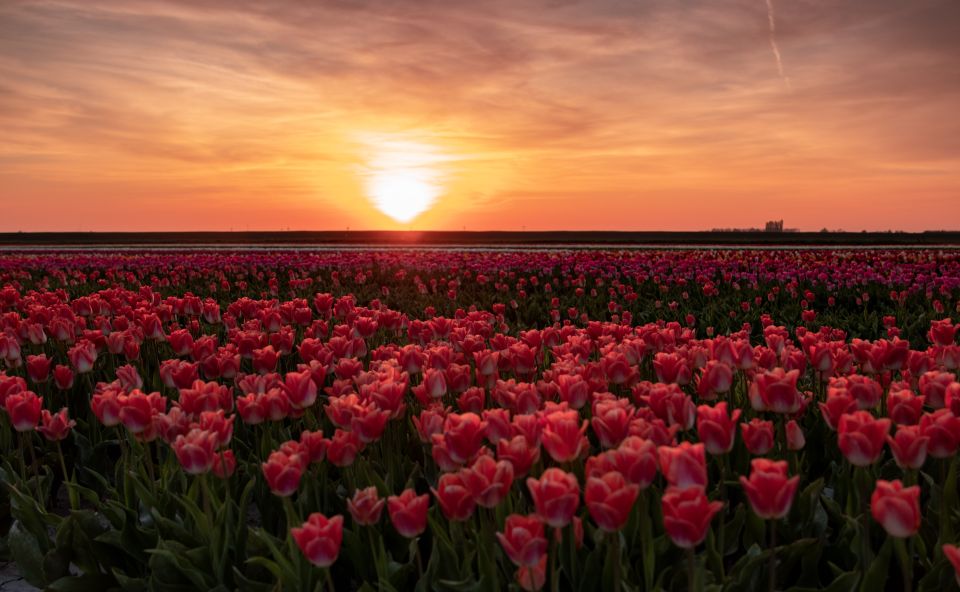 Hillegom: Guided E-Bike Tour at Sunset Near Keukenhof - Discover Colorful Flower Fields