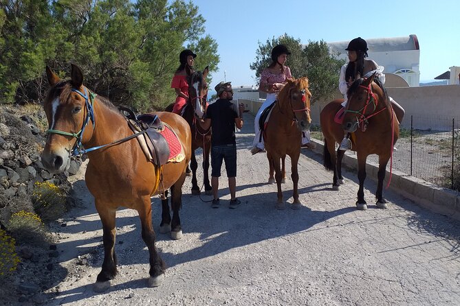 Horse Riding--Explore Secret Thera - Confirmation and Booking Process