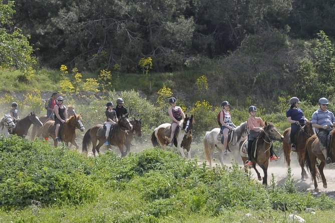 Horse Riding in Kusadasi - Meeting the Horses