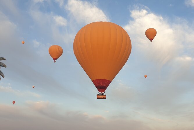 Hot Air Ballooning With Camel Ride and Paragliding - Customer Reviews and Ratings